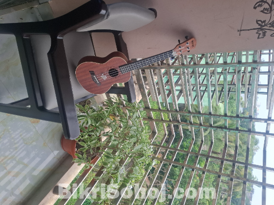 Ukulele